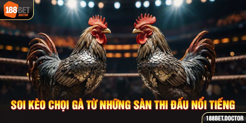 188BET - Trang Chủ 188Bet - Link Đăng Nhập 188bet soi kèo chọi gà từ những sân thi đấu nổi tiếng