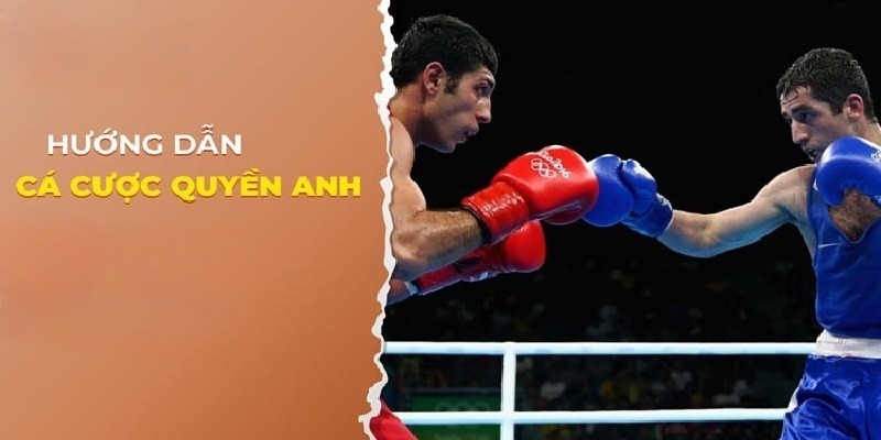 Cá Cược Boxing - Hình Thức Giải Trí Đỉnh Cao, Hấp Dẫn Thắng lớn khi cược Quyền Anh nhờ kinh nghiệm